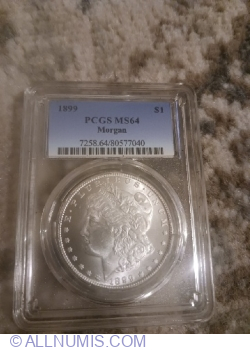 Morgan Dollar 1889